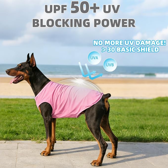 Cooling Sunblock Dog Clothes for Large Dogs, 2 Pack UPF50+ UV & Insect Protection Quick Dry Dog T Shirts for Outdoor, Anti-Hair Loss Breathable Sleeveless Pet Vest Tank Tops, Pink&Purple,XXXL