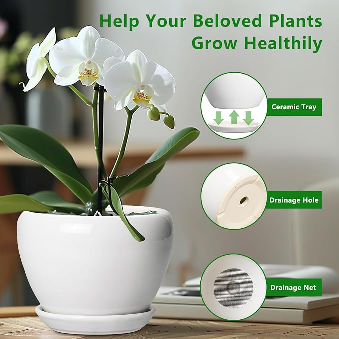 Ceramicfor Ceramic Pot for Plants - 10 Inch Planter with Drainage Hole and Saucer, Glaze Modern Round Flower Pot for Indoor Plants, Housewarming Gift, Home Decor, White