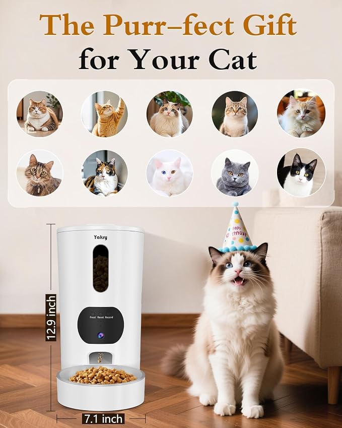 Yakry Automatic Cat Feeder with Camera - HD 1080P Video with Night Vision | 5GHz WiFi Easy Setup App Control Cat Dry Food Dispenser with Stainless Steel Bowl, 4L/17 Cups Capacity for Small Pets Indoor