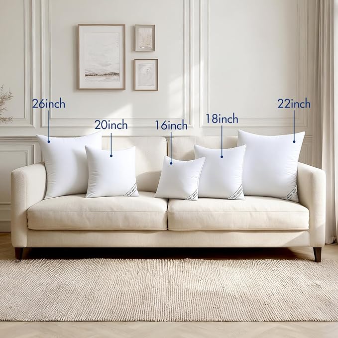 MIULEE 20x20 Pillows Inserts Pack of 2, Down Alternative Virgin Filling | Decorative Pillow Insert, Comfy Support Throw Pillows for Sofa Couch Bed