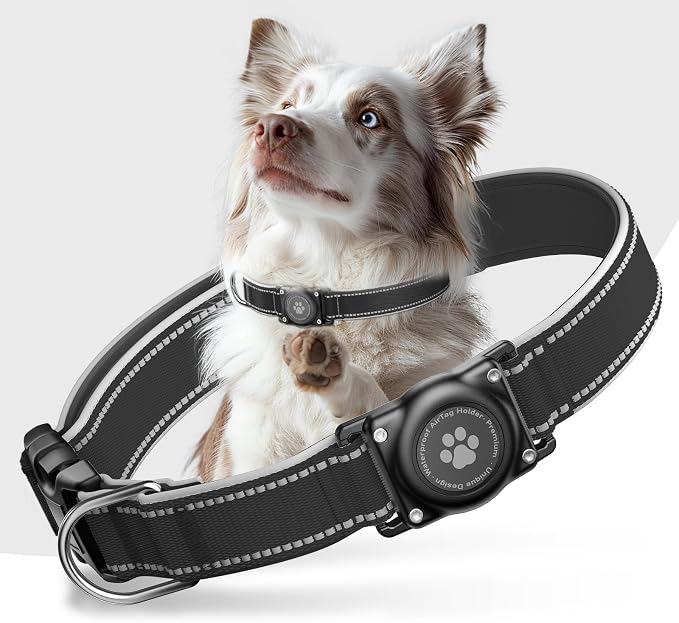 Upgrade Dog Collar with AirTag Holder, IP68 Waterproof, Ebony, S | Built-in Water Resistant AirTag holder, 1000D Nylon, Reflective Stitching for Night Visibility, Soft padding for Comfort