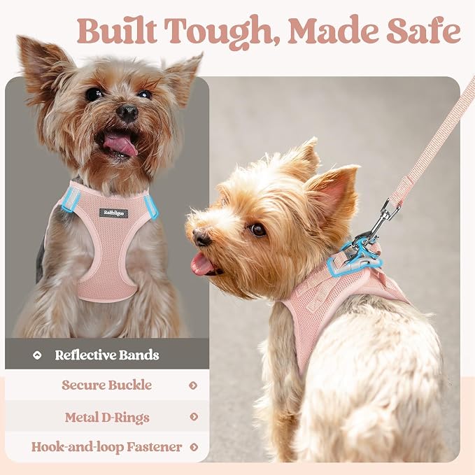 rabbitgoo Dog Harness Small Sized and Leash Set, Step-in Puppy Pet Vest | Light, Soft, Breathable Air Mesh, Easy on and Remove with Hook & Loop, Secure Reflective for Walking, Pink XXS