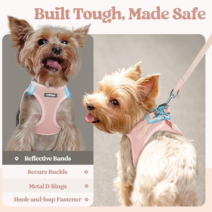 rabbitgoo Dog Harness Small Sized and Leash Set, Step-in Puppy Pet Vest | Light, Soft, Breathable Air Mesh, Easy on and Remove with Hook & Loop, Secure Reflective for Walking, Pink S