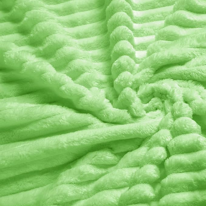 Vessia Flannel Fleece Throw Blanket (50X70 inch), 300GSM Lightweight Light Green Blanket for Couch, Sofa and Bed - Warm and Soft Green Throw for All Season
