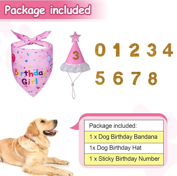 Dog Girl Birthday Party Hat, Dog Birthday Party Supplies | Dog Birthday Bandana Set with Numbers for Gaint and Extra Large Puppy (Pink)