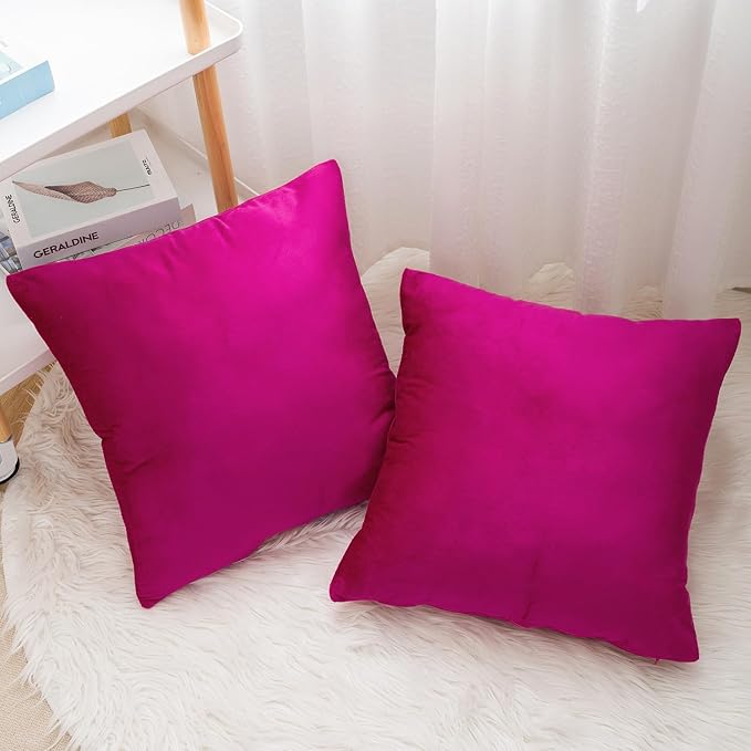 Velvet Decorative Throw Pillow Covers, Soft Square Cushion Case Home Decor for Living Room Couch Bed Sofa, Set of 2 Pack, Hot Pink, 20x20 Inch