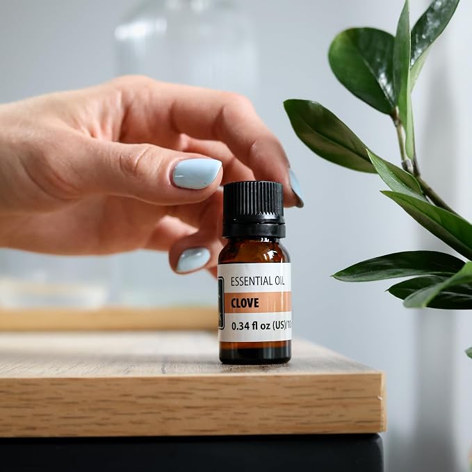 Clove Essential Oil – Warm Spicy Aroma Oil for Diffusers, Aromatherapy & Home Fragrance – Rich Clove-Like Scent – 0.34 fl oz (10 ml)