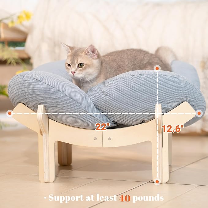 Elevated Cat Bed for Indoor Cats Couch Sofa Flower | Pet Beds with Washable Cushion, Stable Wooden Frame, Raised Cat Hammock & Furniture for Kitty & Puppy All-Season(Light Blue)