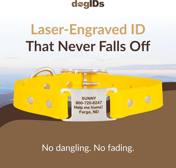 dogIDs Personalized Dog Collar – ScruffTag Custom Waterproof Biothane Dog Collar with Laser-Engraved Name, Durable & Odor-Resistant – USA Made | Yellow, 1 in x 20 in (Fits Neck Sizes 18-22 in)