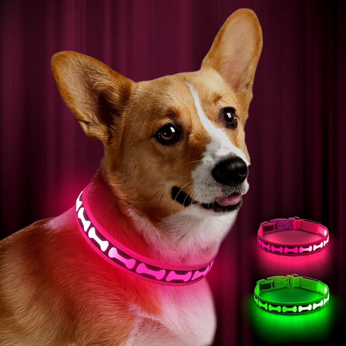 Flashseen LED Dog Collar Light Up USB-C Rechargeable(Pink, Medium)