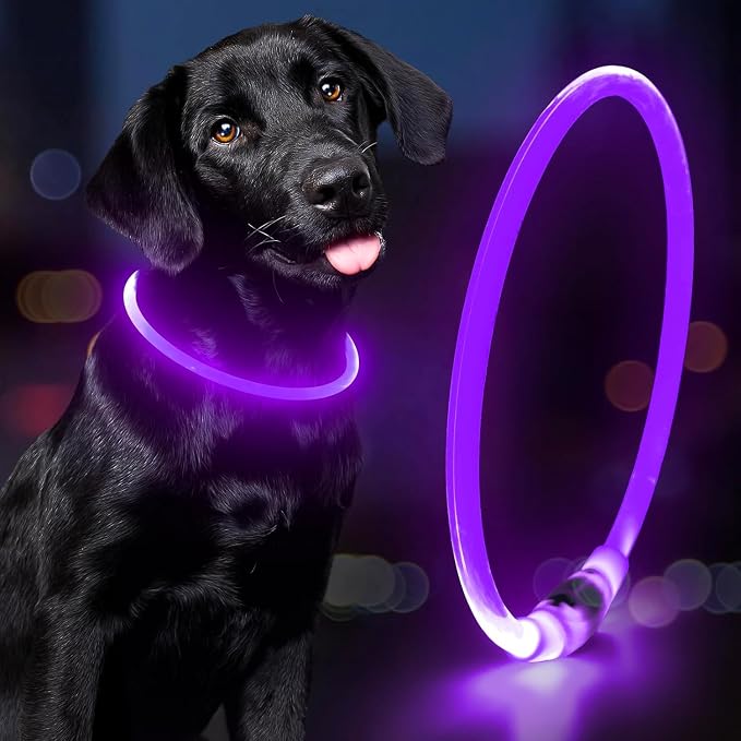 Light Up Dog Collars - Waterproof LED Dog Collar, Glow in The Dark Puppy Collar, TPU Cuttable Lighted Dog Collar for Small Medium Large Dogs (Purple)