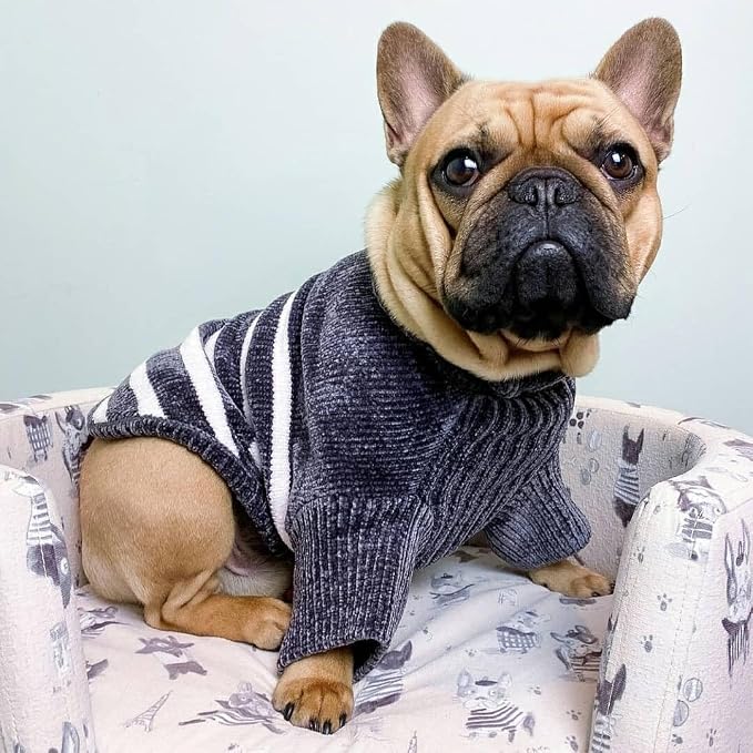 Blueberry Pet Cozy Soft Chenille Classy Striped Dog Sweater in Chic Grey, Back Length 22", Pack of 1 Clothes for Dogs