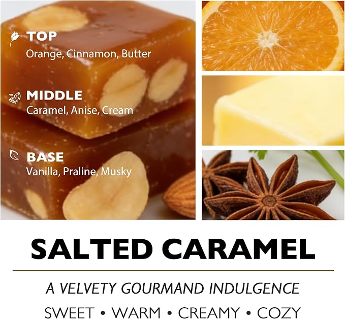 HomeLights Soy Wax Candles for Home Scented, 4-Wick Candles in Salted Caramel Scented, Rustic Modern Aromatherapy Candles Gift for Parties, Relaxing, 18oz