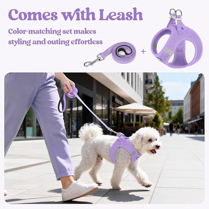 rabbitgoo Dog Harness Medium Sized and Leash Set, Step-in Puppy Pet Vest | Light, Soft, Breathable Air Mesh, Easy on and Remove with Hook & Loop, Secure Reflective for Walking, Light Purple L