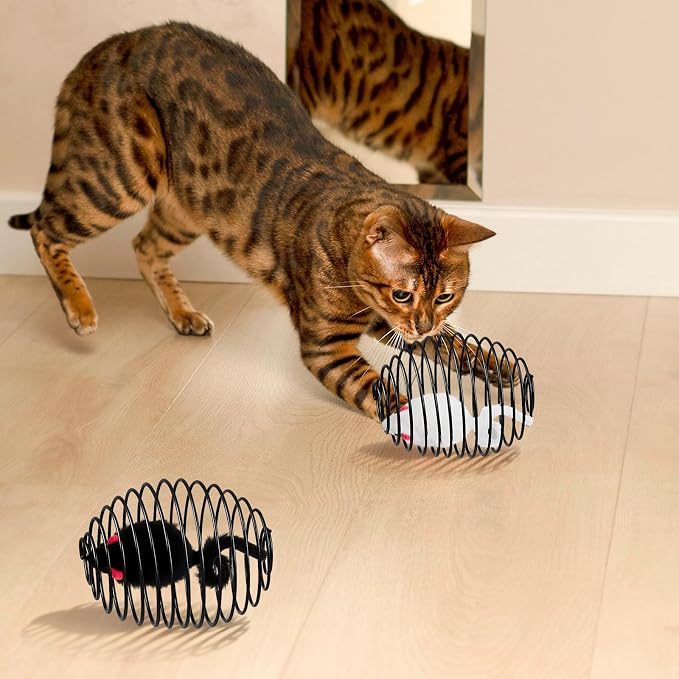 Jecery 5 Pcs Cat Toys Spring,Mouse,Black
