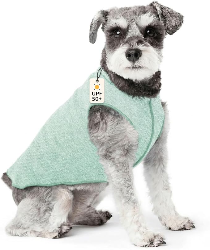 Goldpaw Dog Sun Shirt with UV Protection - Lightweight, Cooling Sun Protection Clothing for Small Dogs - Reduce Heat Absorption - Made in the USA - Machine Washable - Pistachio Green - Size 10