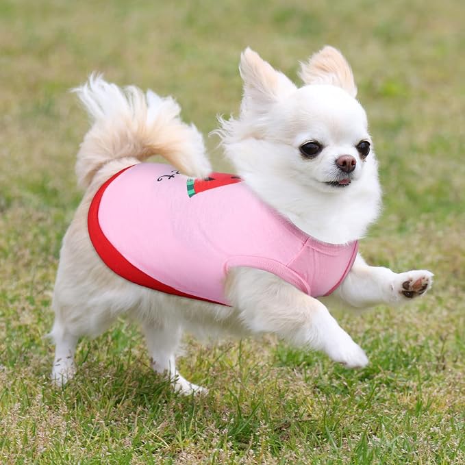 Reginary 8 Pieces Dog Shirts Girl Small Dog Clothes for Chihuahuas Yorkies Female Puppy Shirts Printed Pet Outfit Cute Breathable Soft Valentine's Day Doggie Cat Lovers Gift(Cute Pattern,Size S)