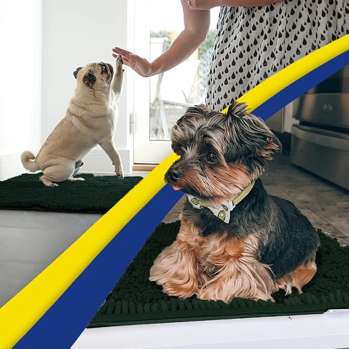 Muddy Mat® | Super Water Absorbent Door Mat Indoor, Microfiber Quick Dry Chenille Entryway Rug,Slip Resistant Front Door Mat,Indoor Mats for Entryway,Machine Washable Pet Rug, Hunter Green 26" x 42"