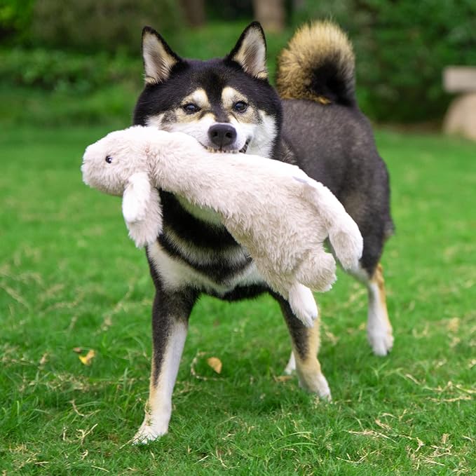 Best Pet Supplies 2-in-1 Stuffless Squeaky Dog Toy - Hare, Small | No-Stuffing, 2 Built-in Squeaker, No Mess, Soft, Interactive Indoor & Outdoor Play, Lightweight, Perfect for Moderate Chewer