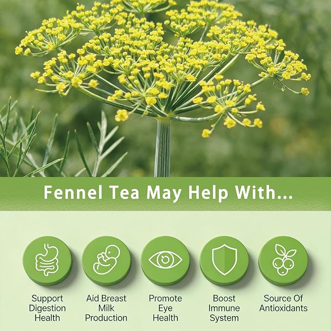 Samcci - Fennel Tea,4g×40 Teabags,100% Natural & Pure Fennel Seeds Herbal Tea - Non-GMO - Caffeine-free - Helps Improve Digestion & Immune System