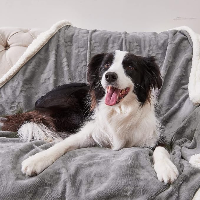 Waterproof Blanket for Bed, Dog Blankets for Large Dogs, Waterproof Cat Blanket Washable, Soft Sherpa Fleece Puppy Blanket, Reversible Throw Protector for Couch Car, 50"X60", Grey
