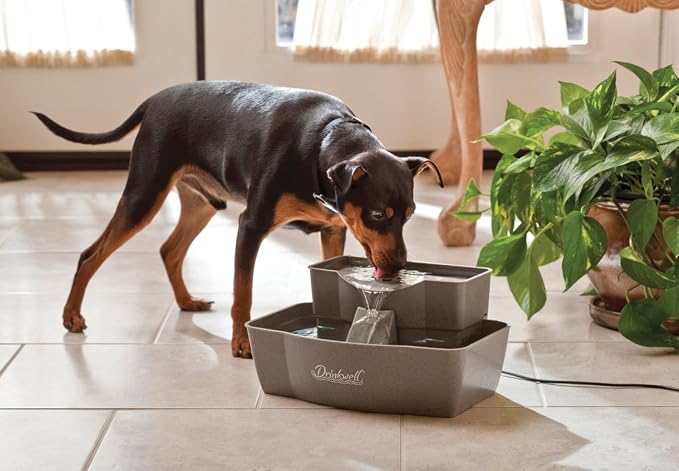 PetSafe Drinkwell Multi-Tier Pet Fountain, Cats & Dogs, Large | 100 oz Capacity, 2 Drinking Heights, Great for Senior/Arthritic Pets, Top-Rack Dishwasher Safe
