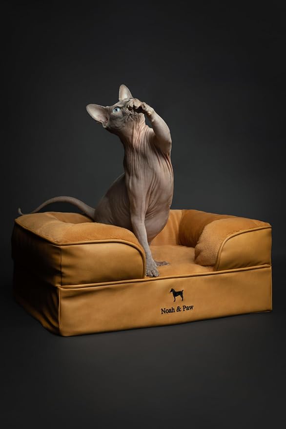 NOAH & PAW Small Dog Bed, 20x15x8 Inch, Cat Bed for Indoor Cats, Orthopedic Eggshell Memory Foam Infused with Cooling Gel, Water Resistant Inner Cover Machine Washable (Faux Leather)