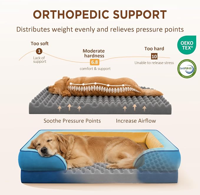 Comfort Expression Orthopedic Dog Bed for Extra Large Dogs with Bolster | Waterproof Dog Couch Bed with Washable Cover & Non-Slip Bottom, Supportive Egg Crate Foam XL Pet Bed, 42x30 Inch