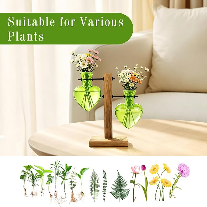 XXXFLOWER Plant Propagation Station Terrarium 2 Green Heart Shaped Vase | Terrarium Kit Bulb Glass Metal Desk Plant Holder, Retro Air Plants Water Plants, Home Office Decoration