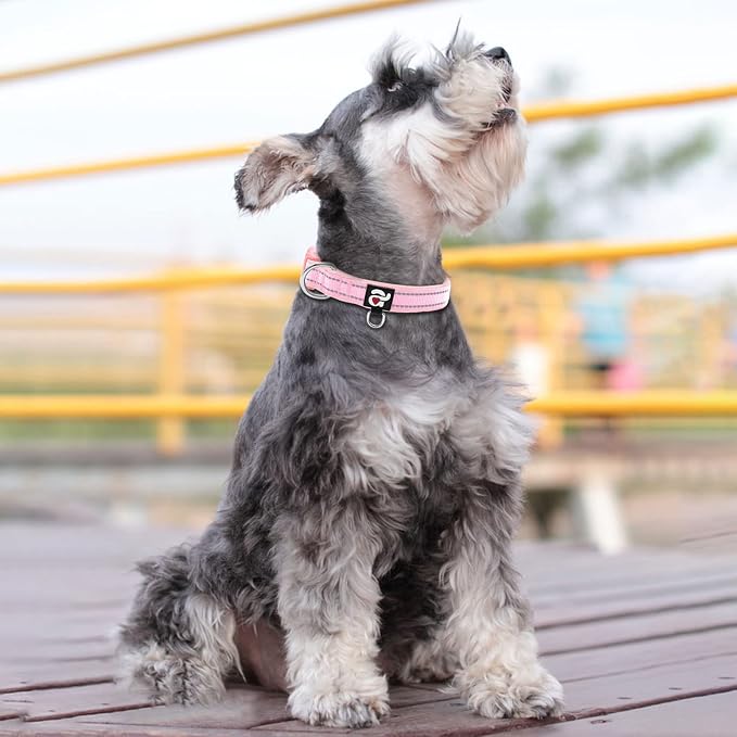 azuza Reflective Dog Collar, Neoprene Padded Small Dog Collar, Pink, S