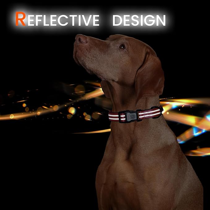 Personalized Dog Collar with QR Code Dog Tag, Rose Red M | Anti-lost, 1000D nylon, reflective, padded, XS-L(8"-24"), QR buckle shares lost pet profile, location alerts when scanned