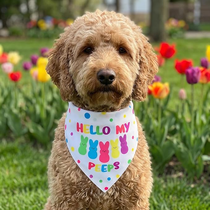 Easter Dog Bandanas 2PCS-Small,Adjustable Holiday Party Pets Rabbit Easter Egg Outfits,Triangle Reversible Pet Scarf for Boys and Girls,Dog Costume Gifts for Puppy Cats Pets