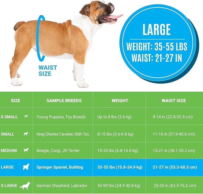 Bodhi Dog Disposable Male Dog Diapers - Super Absorbent, Leak-Proof Pee Wraps - Adjustable Fit, Comfortable Design, Advanced Moisture Control, and Wetness Indicator - Large (20 Count)