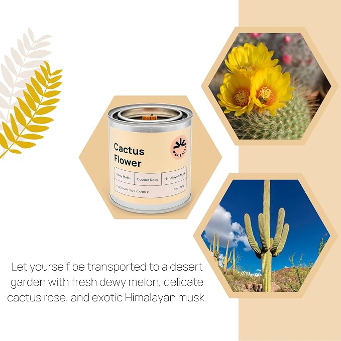 Wick & Star Vegan, Wood Wick, Natural Coconut Soy Wax Aromatherapy Candle, Clean Burning (Cactus Flower)