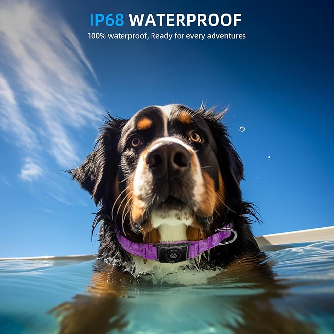 Upgrade Dog Collar with AirTag Holder, IP68 Waterproof, Purple, S | Built-in Water Resistant AirTag holder, 1000D Nylon, Reflective Stitching for Night Visibility, Soft padding for Comfort