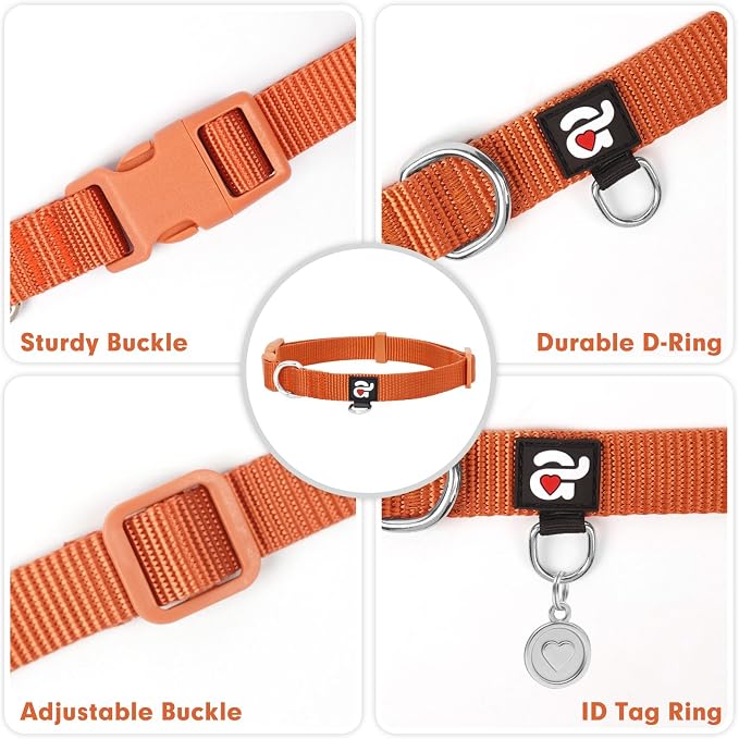 azuza Nylon Fall Dog Collar and Leash Set, Strong & Durable Basic Style Leash with Easy to Use Collar Hook, Available in Multiple Lengths for Medium Dogs, Rust Orange,M
