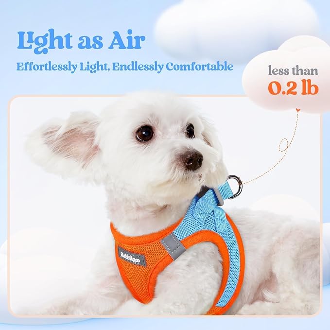 rabbitgoo Dog Harness Small Sized and Leash Set, Step-in Puppy Pet Vest | Light, Soft, Breathable Air Mesh, Easy on and Remove with Hook & Loop, Secure Reflective for Walking, Blue & Orange M