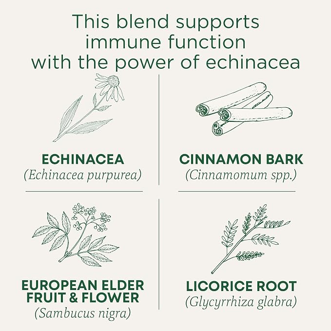 Traditional Medicinals Tea, Organic Immune Zoom Elderberry Echinacea, Supports Immune Function, 16 Tea Bags (Pack of 2)