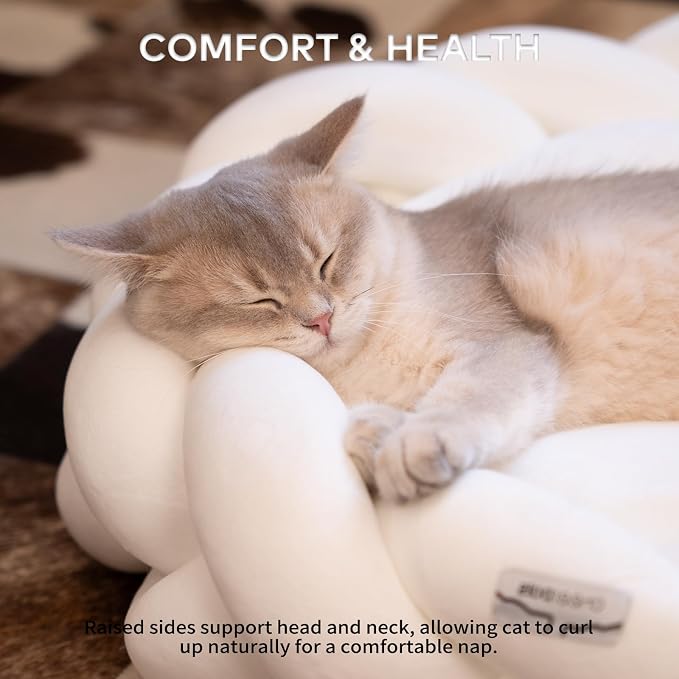 CHEERPALS Weave Cat Bed for Indoor Cats,Cute Pet Bed with Washable Cushion Fluffy Kitty Bed for Small Dog(White)