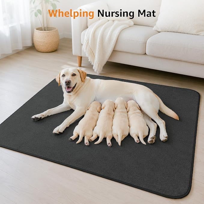 LOOBANI Washable Pee Pads for Dogs, 2 Pack Non-Slip and Leak-Proof,48"x48" | Super Absorbent Reusable Dog Pee Pads, Machine Washable, Extra Large Whelping Pads for Crate, Playpen, Floor, Housebreaking