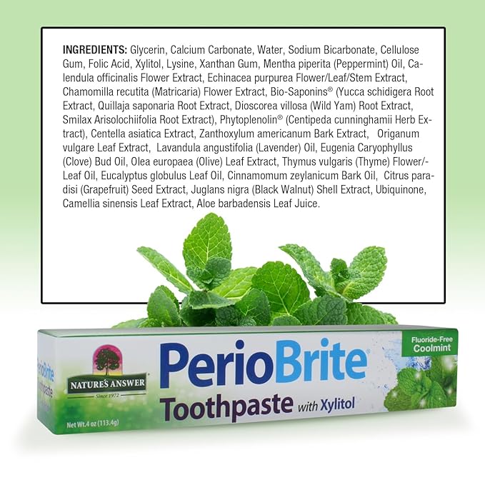 Nature's Answer PerioBrite Natural Toothpaste, Cool Mint, 4-Ounce (Pack of 2) Fluoride Free with CoQ10 & Folic Acid | Naturally Whitens Teeth | Freshens Breath | Removes Plaque | Minimizes Dry Mouth