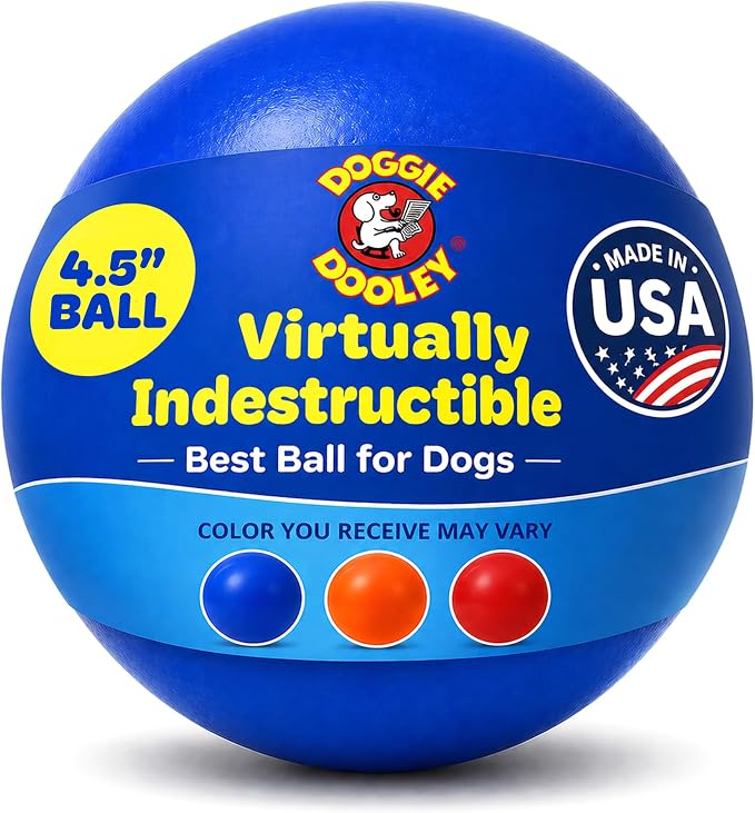 Doggie Dooley Virtually Indestructible Dog Ball - 4.5 Inch Hard Plastic Interactive Dog Toy for Large Breeds Over 1-30 lbs -Built for Herding & Push Play -Floats in Water, Made in USA -Colors May Vary