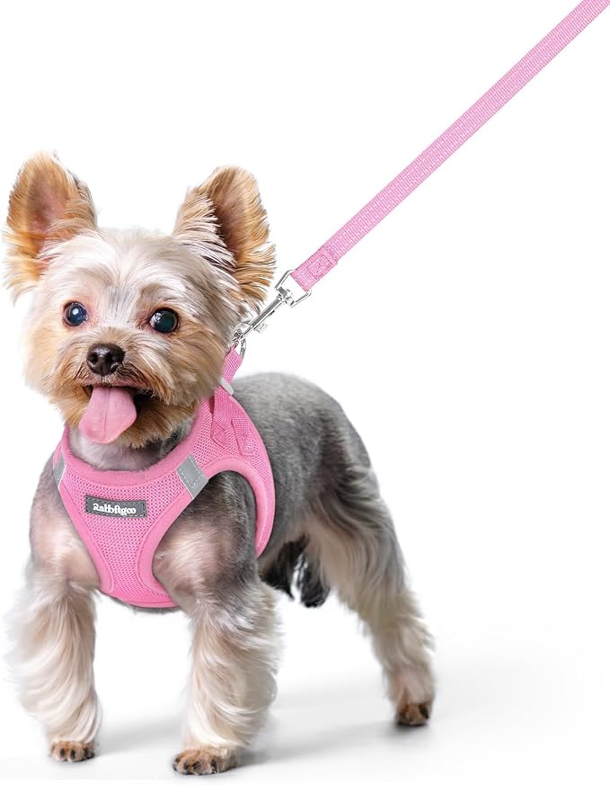 rabbitgoo Dog Harness Small Sized and Leash Set, Step-in Puppy Pet Vest | Light, Soft, Breathable Air Mesh, Easy on and Remove with Hook & Loop, Secure Reflective for Walking, Light Pink XS