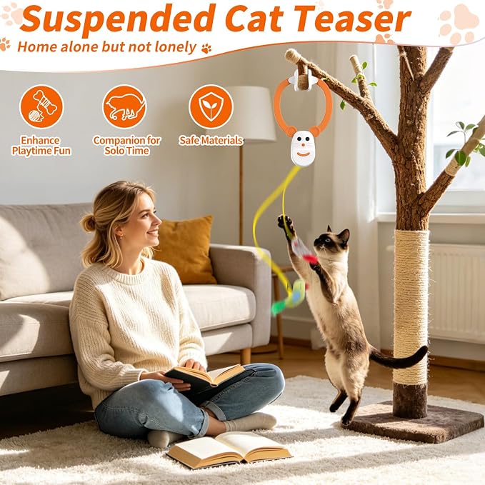 Interactive Cat Toys, Automatic Flying Bird Door Hanging Toy for Cats