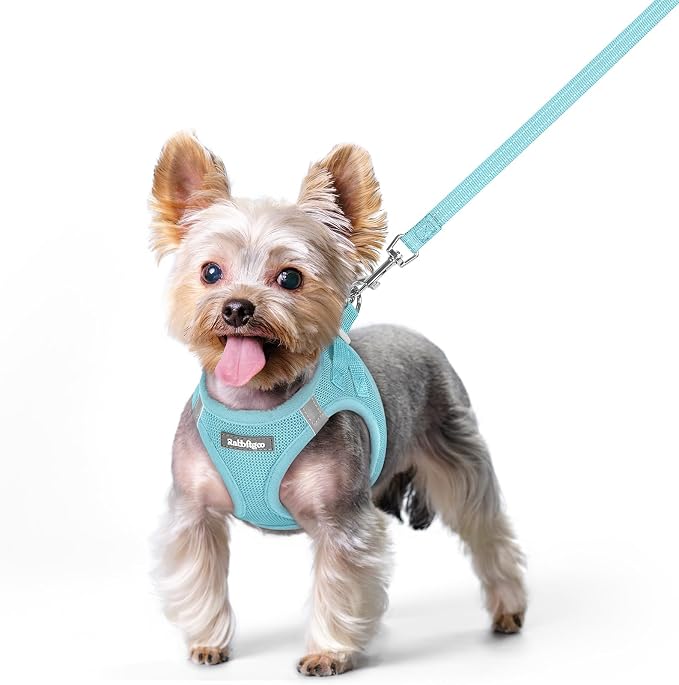 rabbitgoo Dog Harness Small Sized and Leash Set, Step-in Puppy Pet Vest | Light, Soft, Breathable Air Mesh, Easy on and Remove with Hook & Loop, Secure Reflective for Walking, Mint Blue XS