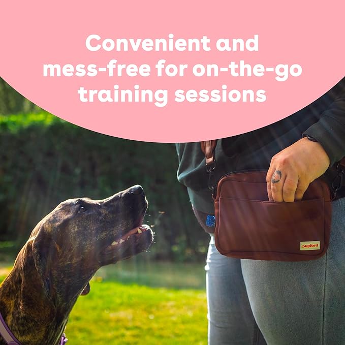 Pupford Freeze Dried Training Treats for Dogs & Puppies (Salmon, 2 oz) | 225+ treats per bag, Ultra low-calorie, Only 2 ingredients, All breed sizes, Mess free and bite sized, Trainer recommended