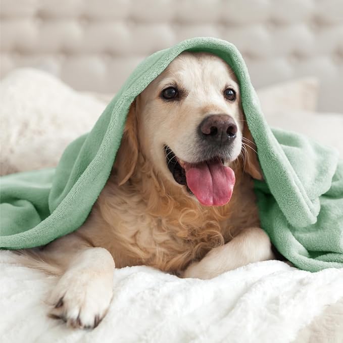 BEDELITE Fleece Blanket Soft Plush King Bed Blanket Mint Green 108"x90" | Ultra Soft Fleece, Plush Microfiber, Lightweight Warmth, All Season Comfort, Fade Resistant, Machine Washable