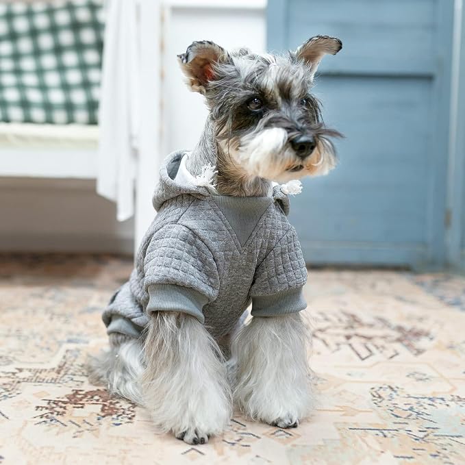 BEAUTYZOO Dog Hoodies Sweater for Small Dogs,Waffle‑Like Laminated Pet Coat | Warm Dog Sweatshirt with Pocket & Leash Hole,Pullover Clothes for Girl Boy Dogs & Cats,Stretchy & Easy‑On‑Off,Chihuahua Puppy