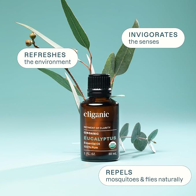 Cliganic Organic Eucalyptus Essential Oil - 100% Pure Natural for Aromatherapy Diffuser | Non-GMO Verified