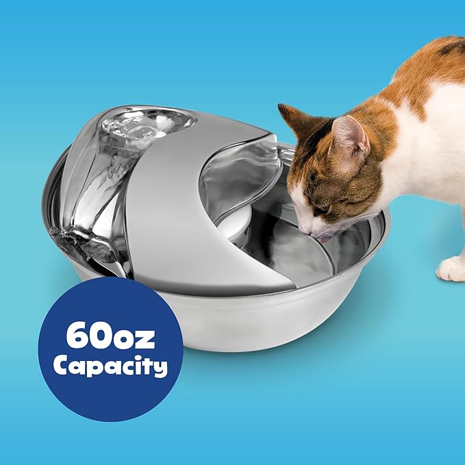 Pioneer Pet Stainless Steel Fountain Raindrop Design , 60oz